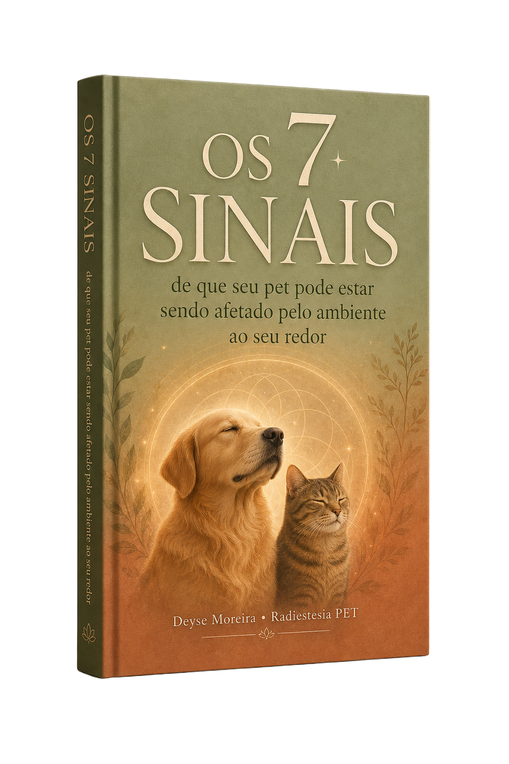 Capa do e-book Os 7 Sinais